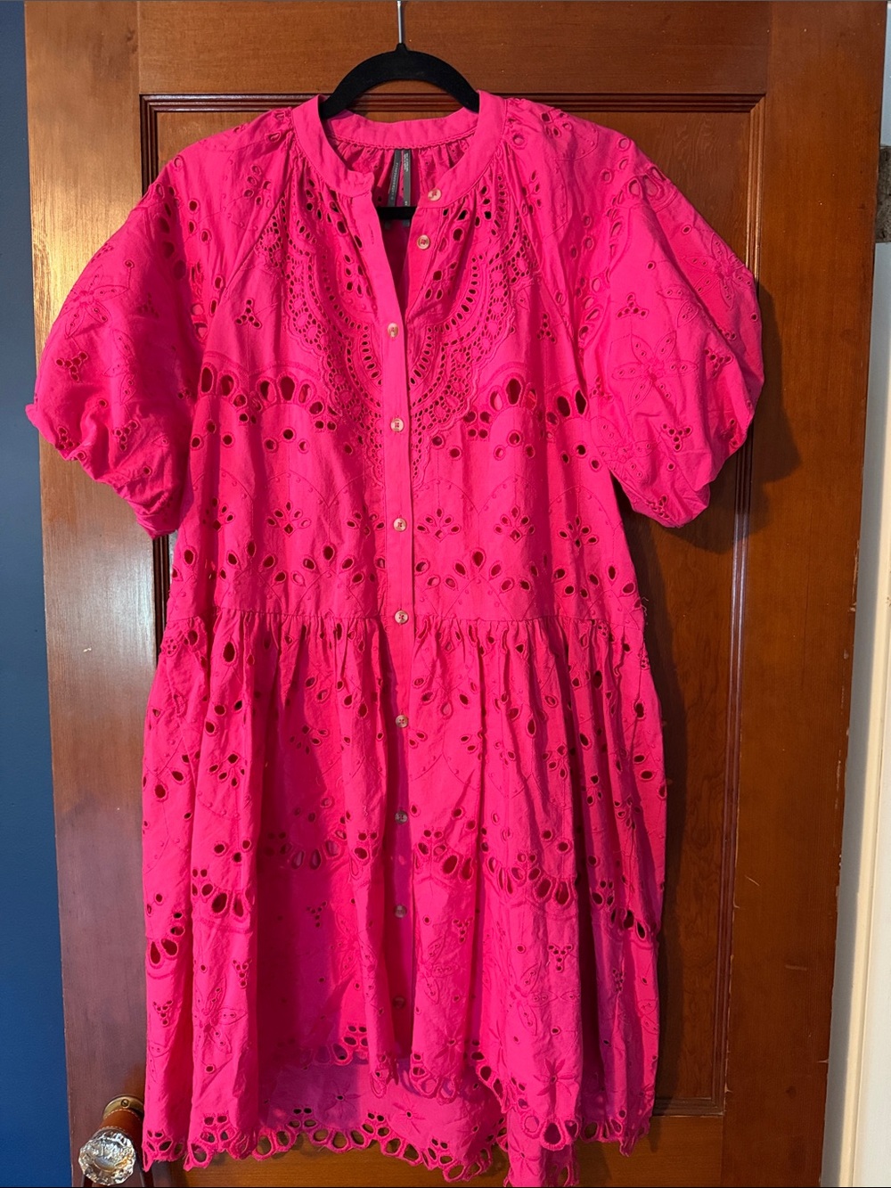 Anthropologie Eyelet Button-Front Dress in Bright Pink